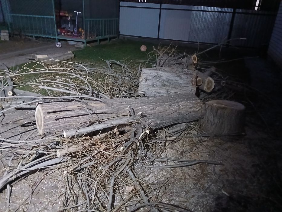 Дрова даром Самовывоз