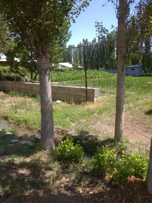 Farg'ona tumani Avval shaharchasida chek sotiladi!!!