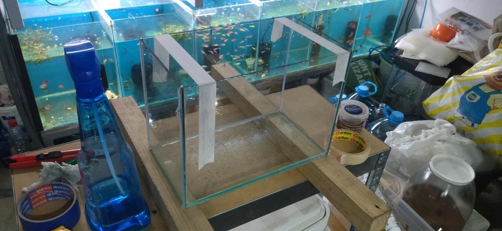 Acvarii și accesorii