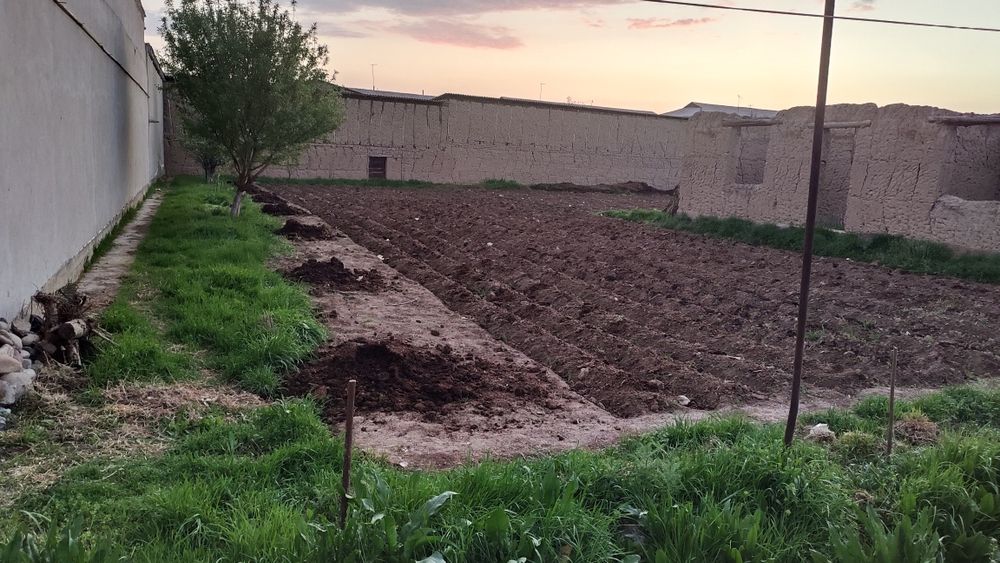 Yer sotiladi yangi yoʻlda 6 sotix