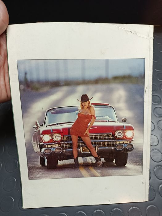 Playboy Pamela Anderson