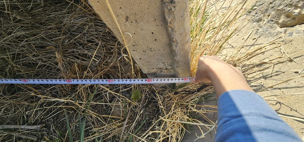 Лотоктар сатылады