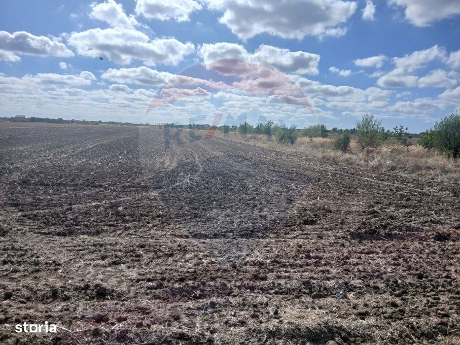 Teren de vanzare 4500mp Strada Rasaritului Darvari Ciorogarla A0