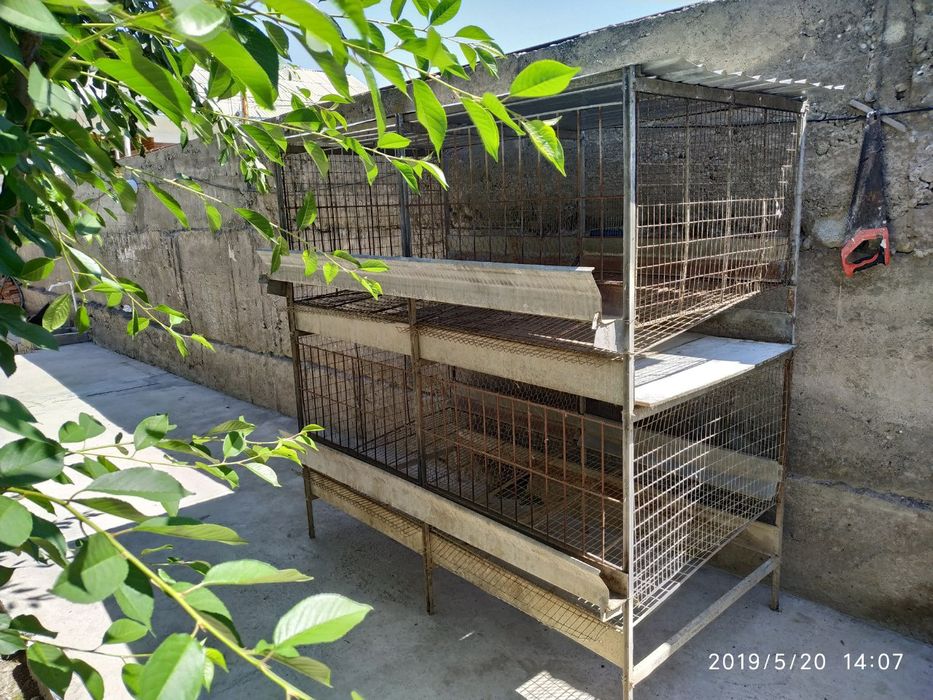 Паррандалар учун кафас...