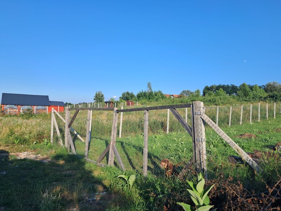 Vând teren intravilan DAIA NOUA 500 M2