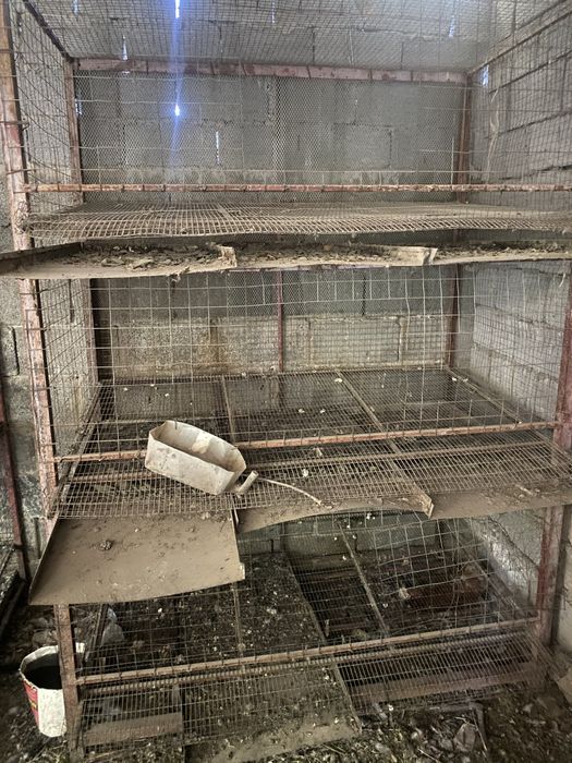 Клетка для кур несушек