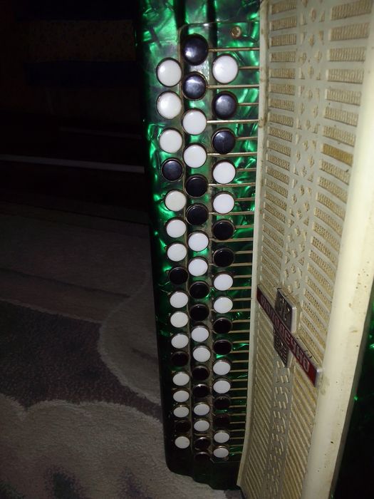 Баян молодечно 2