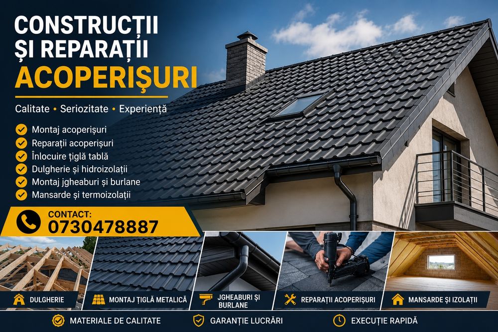 Reparații & Montaj Acoperișuri/ Terase / Vopsire / Izolații