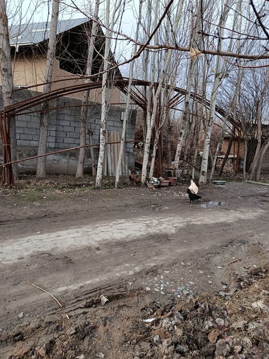 Parnik sotiladi 2 sotik 10x20