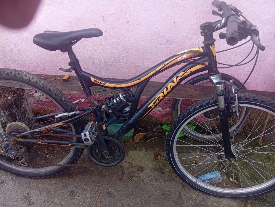 Bicicleta Dynamic
