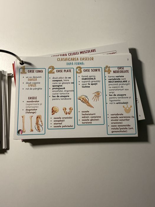 Flashcards Barrons UMF Craiova