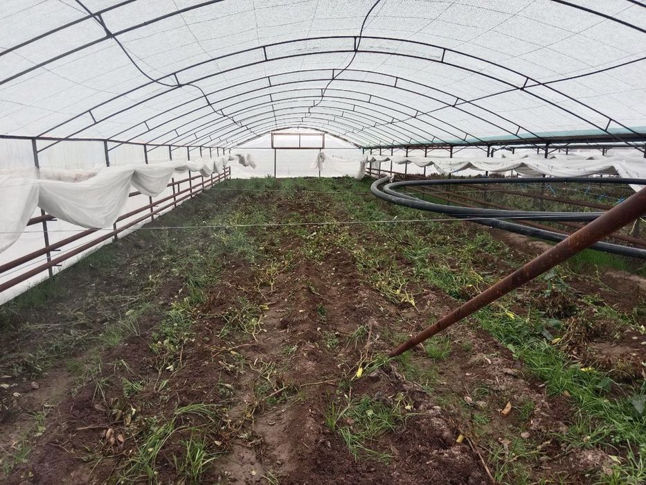 Issiq xona 4.5 sotix sotiladi