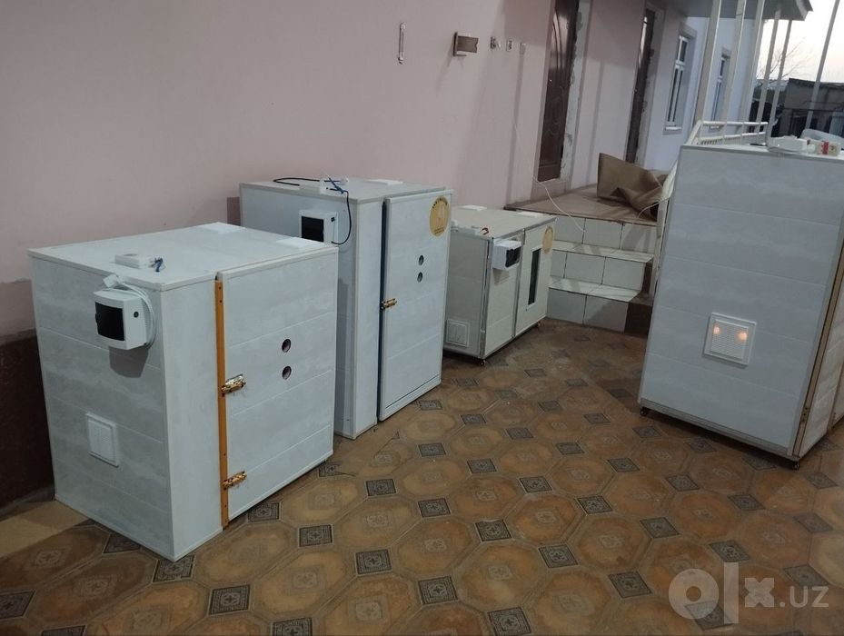 Икватор сатилади 430 талик