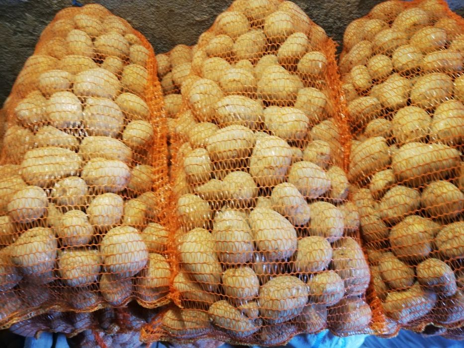 Cartofi de consum și de sămânță