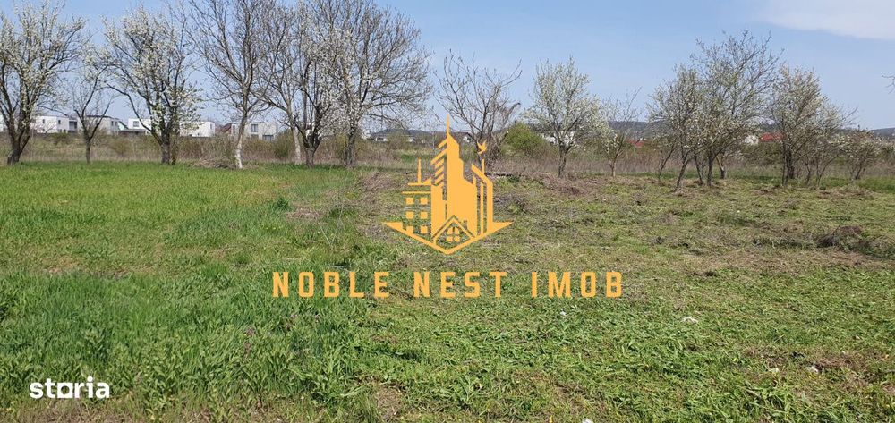 Teren Intravilan 500 Mp – Mărăcineni, Argeș