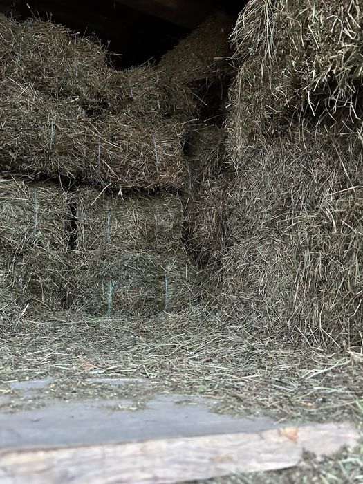 Baloti de otava vanzare