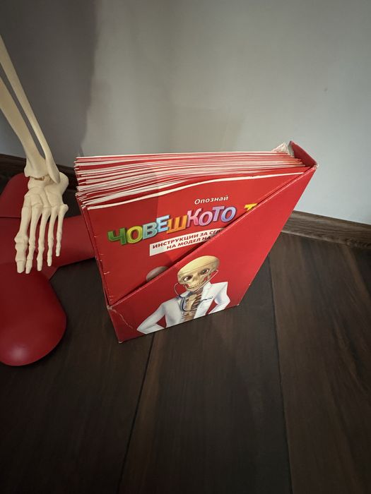 АНАТОМИЧЕН МОДЕЛ НА ЧОВЕШКО ТЯЛО