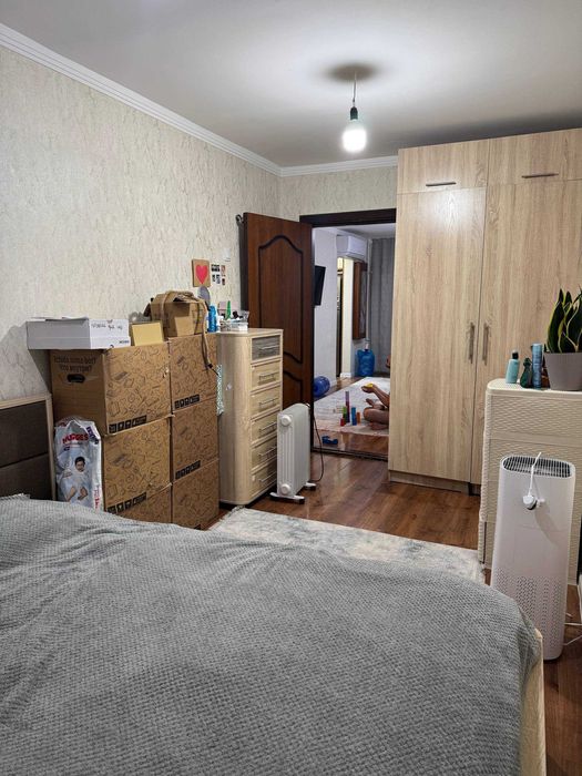 ГОРИТ Саракулька  ‼️ 2х/4/4    Американская Школа