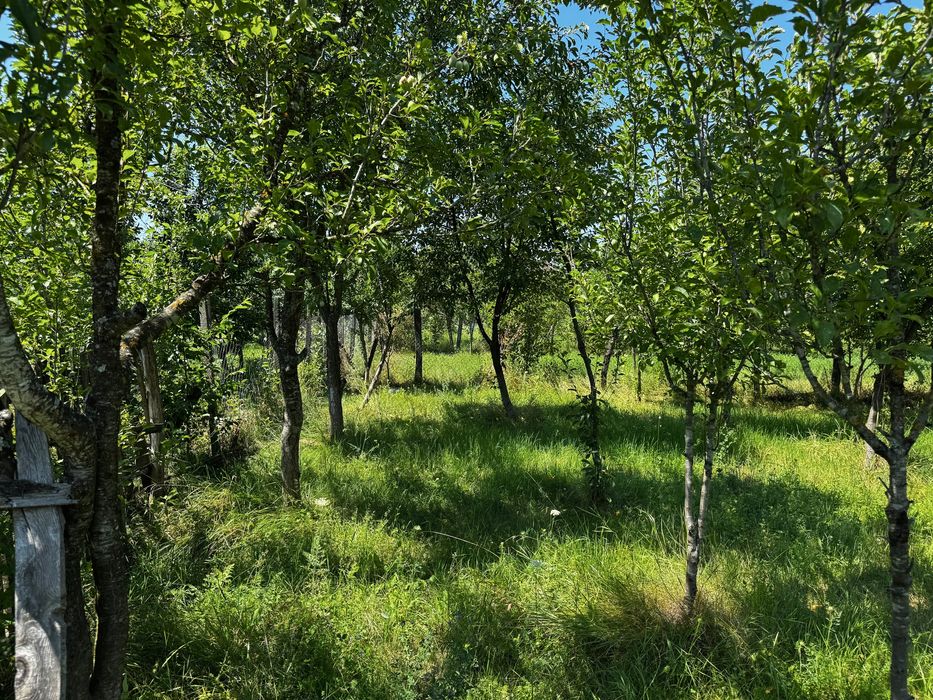 Teren intravilan de vanzare - Salatrucel, Valcea