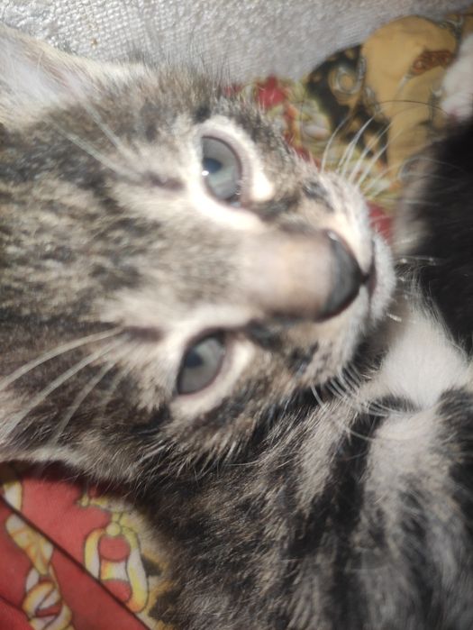 Суммая 24 24 в Самаре