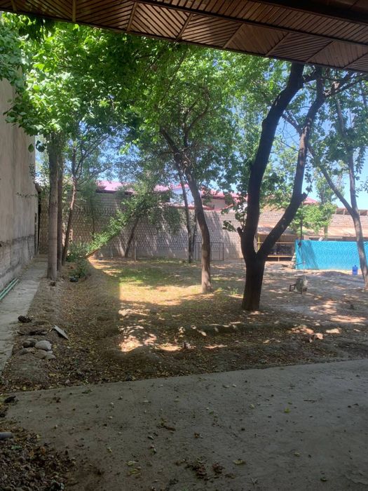 Nazarbek xarakat yer sotiladi 4.3 sotik