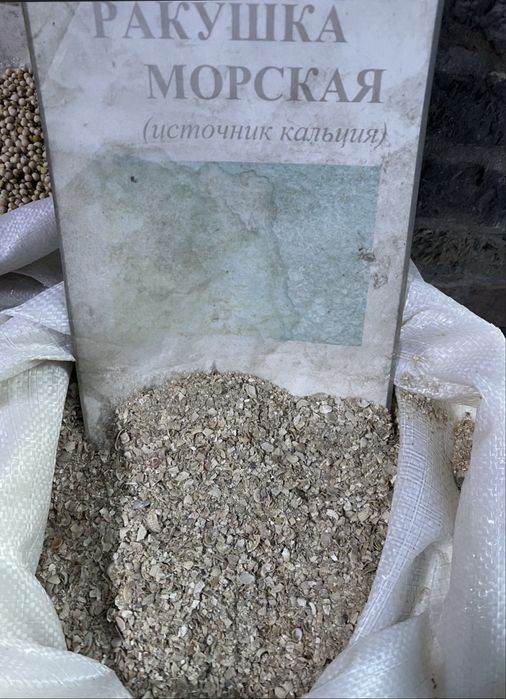 Ракушка кормовая