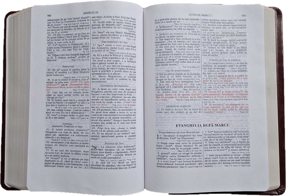 Biblia Planului Profetic Ediția a II - a (Dumitru Cornilescu)