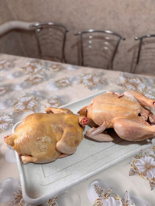 Бройлеры, тауық еті