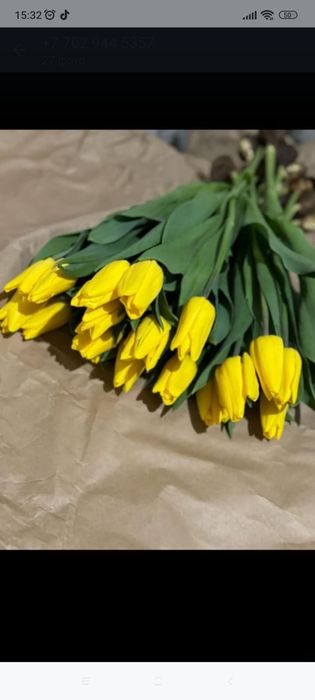 Тюльпаны с теплицы оптом