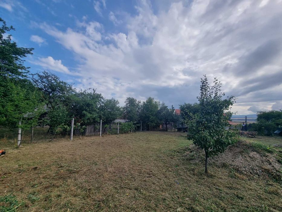 Anunț de Vânzare – Teren în Viile Satu Mare ​Titlu: Teren Ideal pentru Construcție – Strada Libertății nr. 4