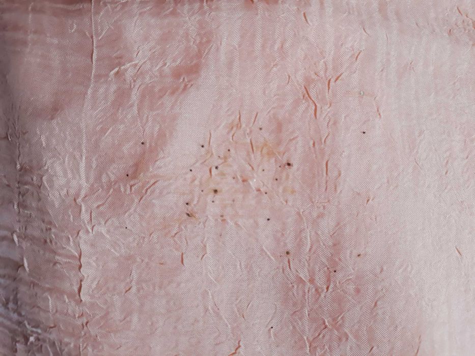 Перде от ефирна материя