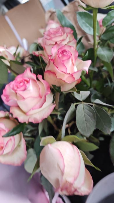 Розы Жумелия дёшево