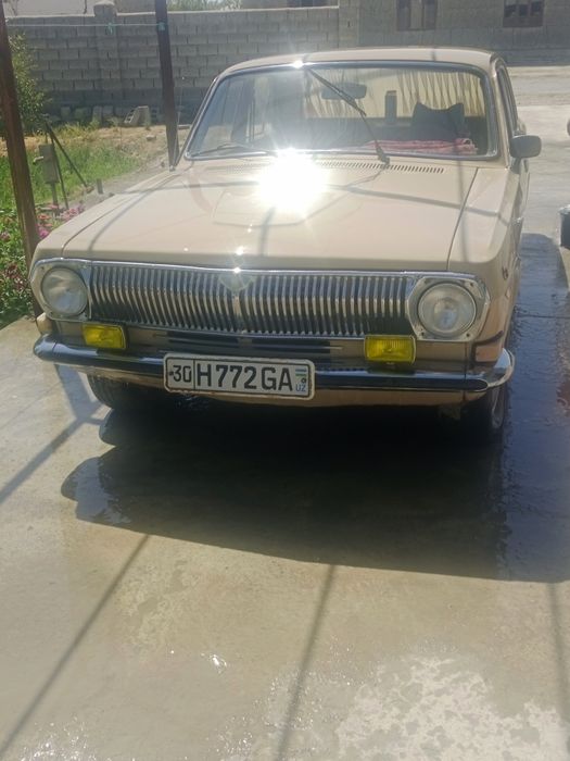 Volga 24 holati yaxwi