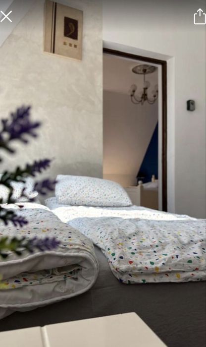 Regim hotelier Satu Mare