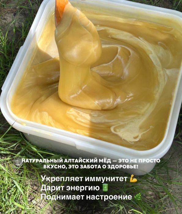 Продам натуральный Алтайский Мёд
