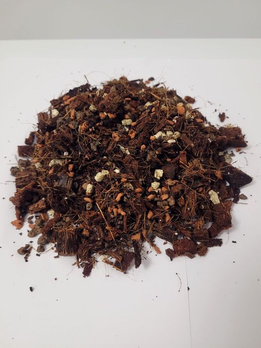 Substrat pentru Hoya