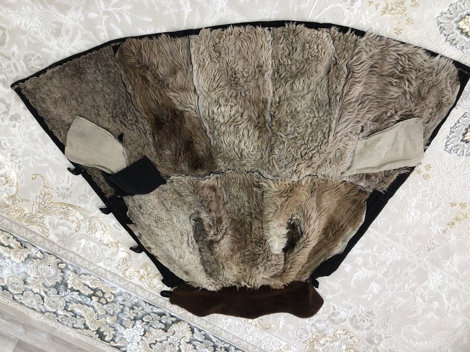 Кәдімгі қара тон