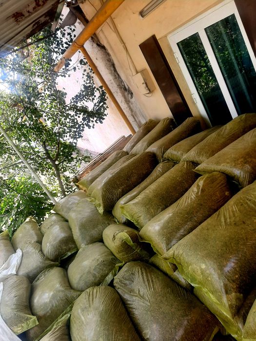 Selos sotiladi narxlari xamyonbop  donli