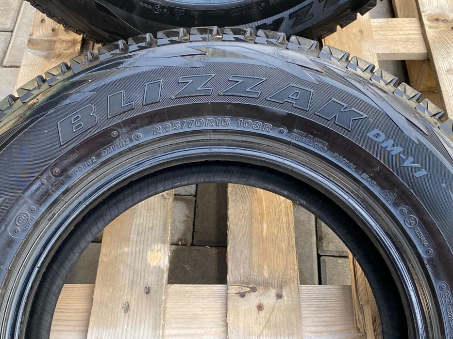 Bridgestone Blizzak DM-V1