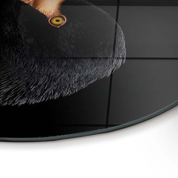 100см! Стъклена картина "Черно фламинго"