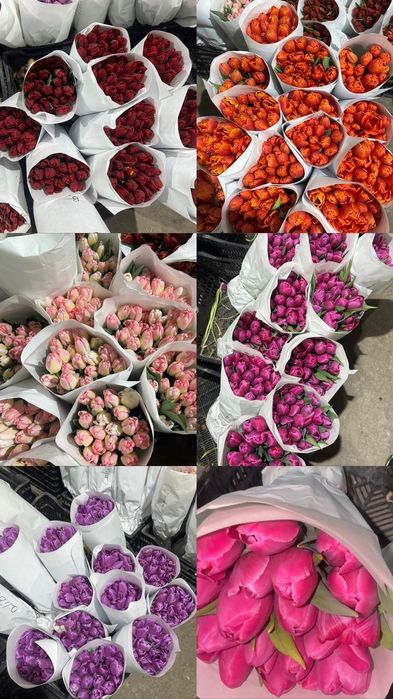 Большие тюльпаны Алматы