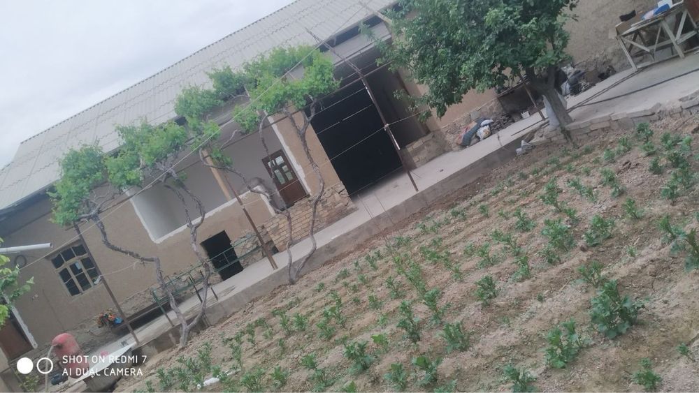 Ховли сотилади срочно!