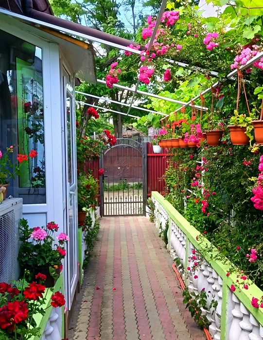 Cazare în Sulina, județul Tulcea - Casa Carmena