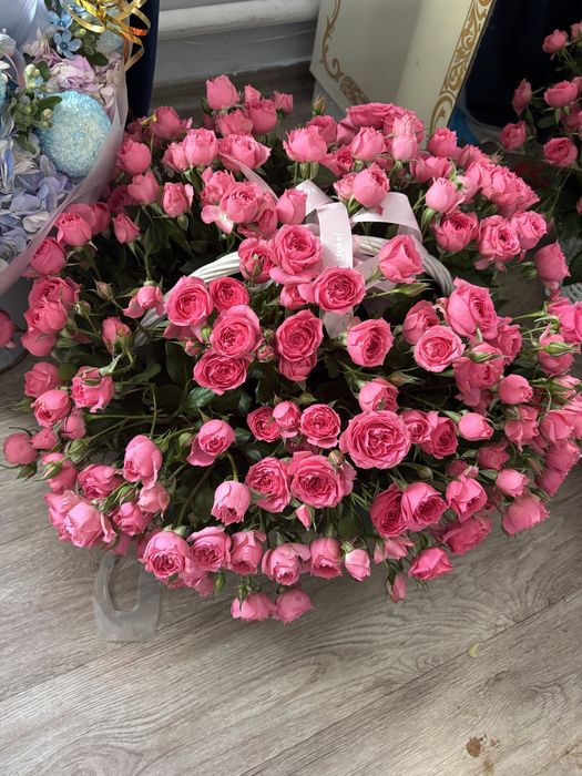 Цветы роза кустевые