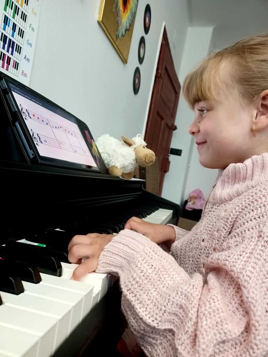 Cursuri de Pictură/Pian Lecții individuale pentru copii în Brașov