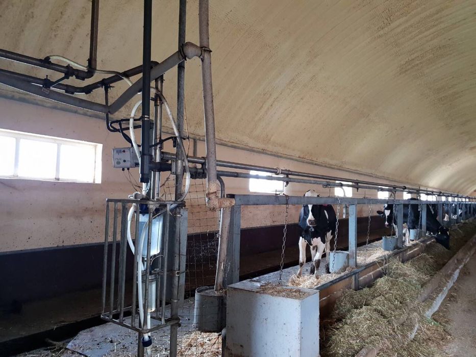 Izolatie spuma poliuretanica Plixxent(Baymer)