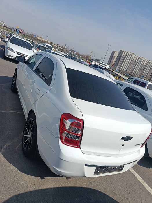 cobilt 2023 yil 4 pozitsa