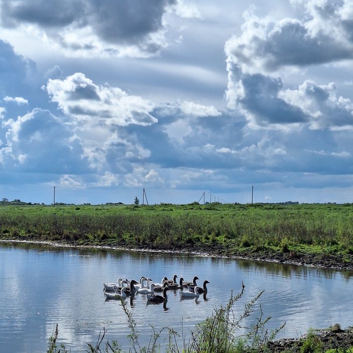 Дом Село Продажа Срочно