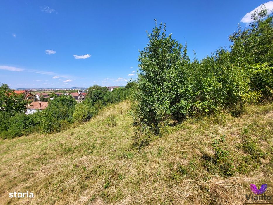 Teren Intravilan 546 mp | Panorama deosebita | PUZ in lucru