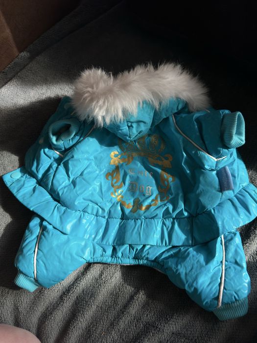 Продам одежду для маленькой собаки